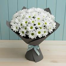 Букет цветов из:  Хризантемы #REPLACE_PRED# Мендюкино