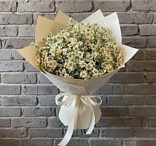 Букет цветов из:  Ромашки #REPLACE_PRED# Мендюкино